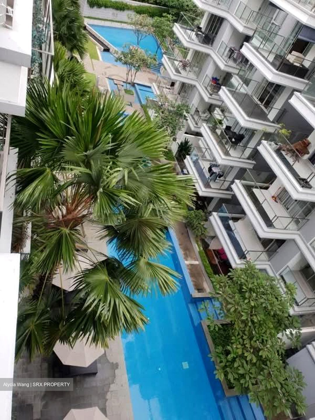 8 @ Mount Sophia (D9), Condominium #575844321